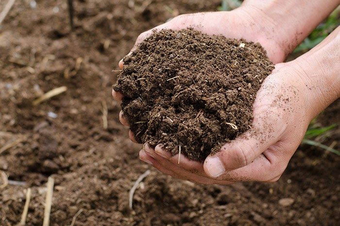 What's the Dirt on Fertilizer? - The Dirt on Dirt